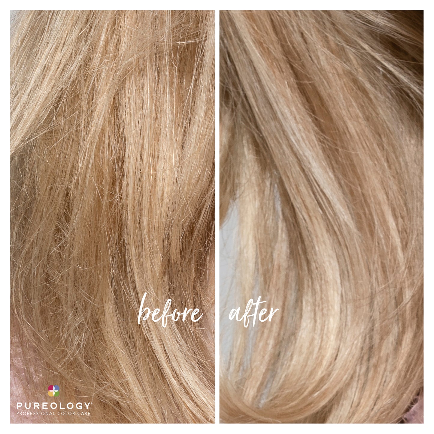 Pureology Strength Cure Blonde Conditioner 1L 1000ml