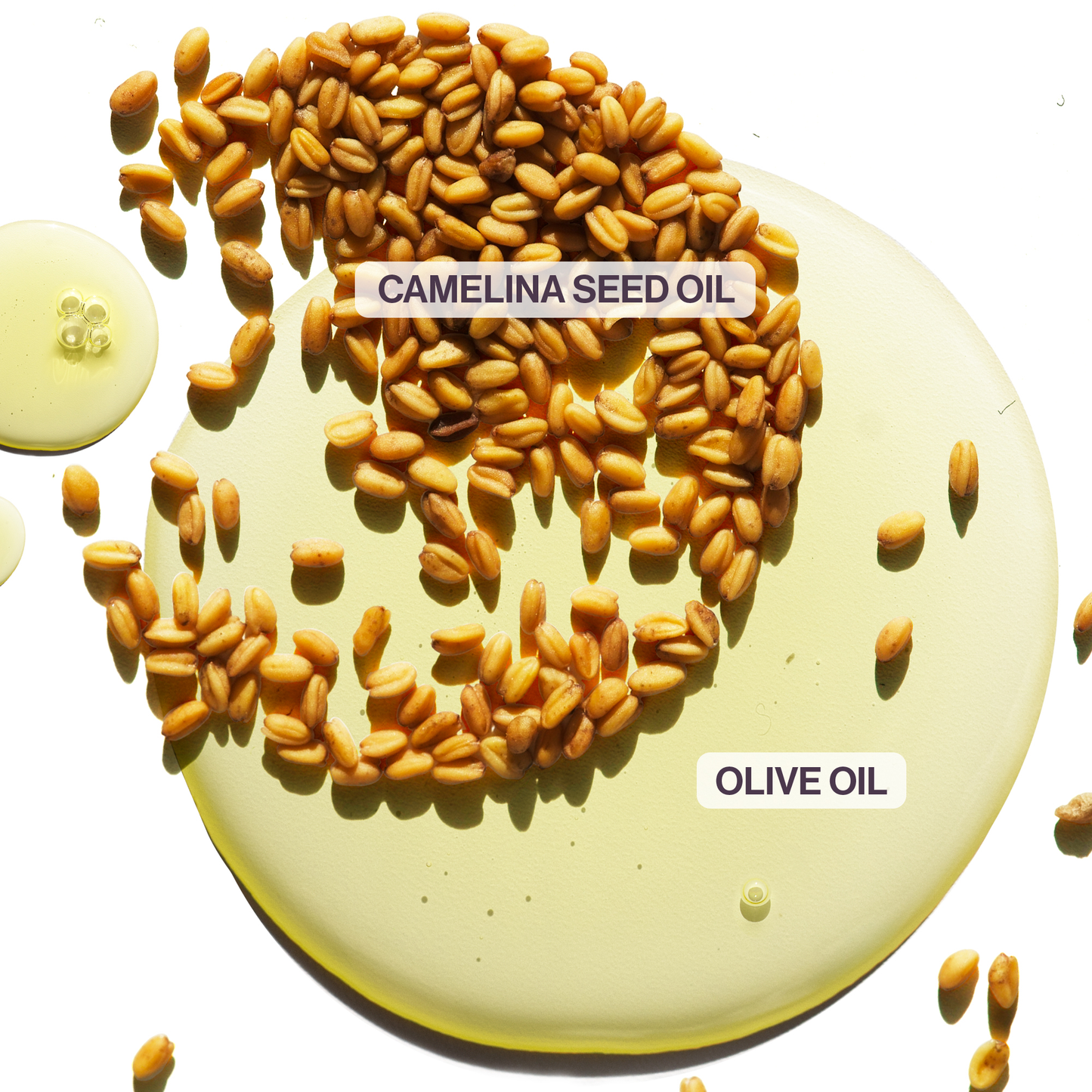 Pureology Colour Fanatic Multi-Tasking Deep Conditioning Mask 200mL | 21 Benefits for Colour-Treated Hair