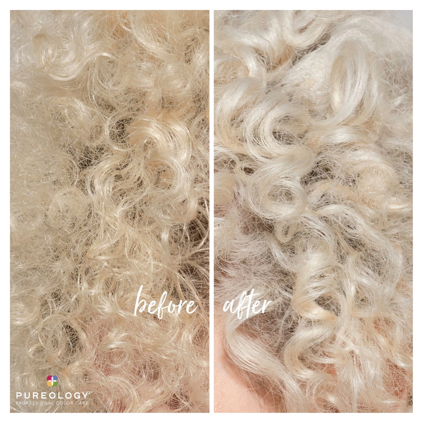 Strength Cure Blonde Purple Shampoo 266mL Default Title